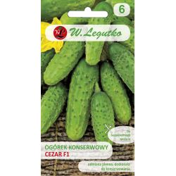 Nakládaná venkovní okurka - Cezar F1 - Semena - W. Legutko