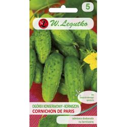 Okurka polní okurka - Cornichon de Paris - Semena - W. Legutko
