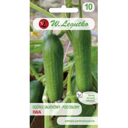 Okurka pod krytem - Iwa - Semena - W. Legutko