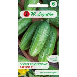 Nakládaná venkovní okurka - Racibor F1 - Semena - W. Legutko