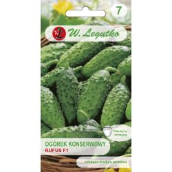 Okurka polní okurka - Rufus F1 - Semena - W. Legutko