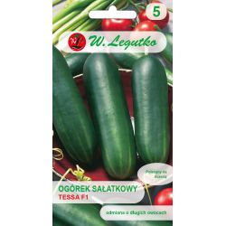 Salátová polní okurka - Tessa F1 - Semena - W. Legutko