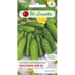 Mletá okurka pro nakládání a konzervaci - Wisconsin SMR 58 - Semena - W. Legutko