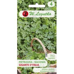 Naťová petržel - Gigante d`Italia - Semena - W. Legutko