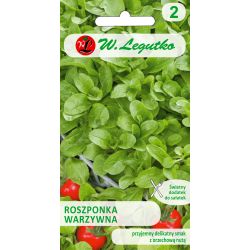 Zeleninový kukuřičný salát - Verte de Cambrai - Semena - W. Legutko