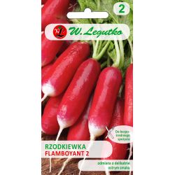 Polodlouhá ředkev - Flamboyant 2 - Semena - W. Legutko