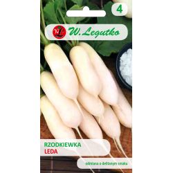 Polodlouhá ředkev - Leda - Semena - W. Legutko