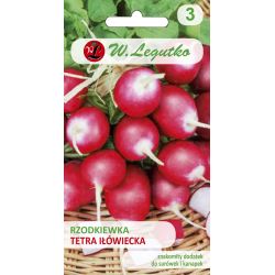 Ředkvička - Tetra Iłówiecka - Semena - W. Legutko