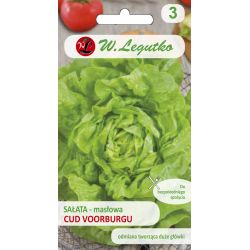 Máslový salát - Zázrak z Voorburgu - Semena - W. Legutko