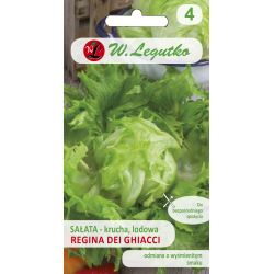 Křupavý ledový salát - Regina dei ghiacci - Semena - W. Legutko