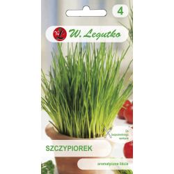 Pažitka – středně list - Semena - W. Legutko