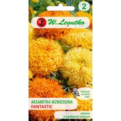 Tagetes erect - Fantastický - mix - Semena - W. Legutko