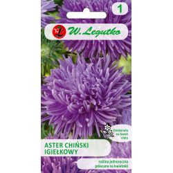 Čínská jehla astra - fialová - Semena - W. Legutko