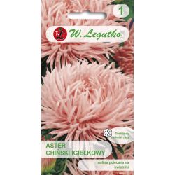 Čínská jehličková astra - losos - Semena - W. Legutko