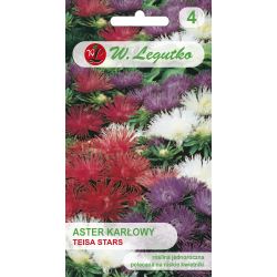 Čínská trpasličí jehličková astra - Teisa Stars - mix - Semena - W. Legutko