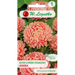 Pivoňka čínská astra - Janina - losos - Semena - W. Legutko