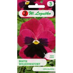 Maceška - švýcarská - Claret - růžová - Semena - W. Legutko