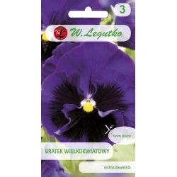 Pansy - Švýcarsko - Bergwacht, Bern - Semena - W. Legutko