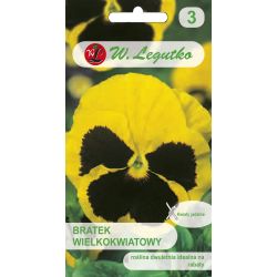 Maceška - švýcarská - Firnengold, Rhinegold - Semena - W. Legutko