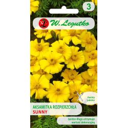 Tagetes rozptýlené - Slunečno - Semena - W. Legutko