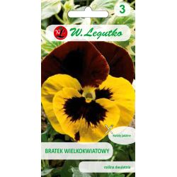 Maceška - švýcarská - Roter Flügel - Semena - W. Legutko