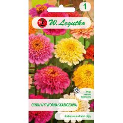 Cínie - rafinovaná scabbióza - směs - Semena - W. Legutko
