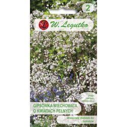 Gypsophila paniculata – bílá - Semena - W. Legutko