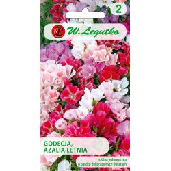 Godetia, Letní azalka - směs - Semena - W. Legutko