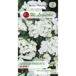 Karafiát vousatý - Albus - Semena - W. Legutko