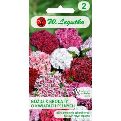 Hvozdík vousatý s dvojitými květy - směs - Semena - W. Legutko