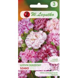 Zahradní karafiát Szabo - směs pestrých květin - Semena - W. Legutko