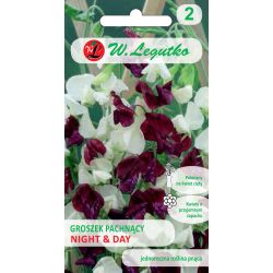 Sladký hrášek - noc a den - Semena - W. Legutko