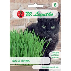 Kočičí tráva - Semena - W. Legutko