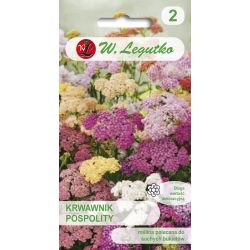 Řebříček obecný - směsný - Semena - W. Legutko