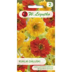 Chilský kuklik - mix - Semena - W. Legutko