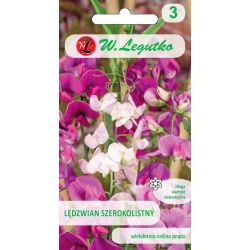 Širokolistý hřbet - směs - Semena - W. Legutko