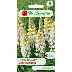 Vytrvalá lupina - Noblemaiden - bílá - Semena - W. Legutko