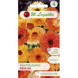 Měsíček lékařský - Deja Vu - směs - Semena - W. Legutko