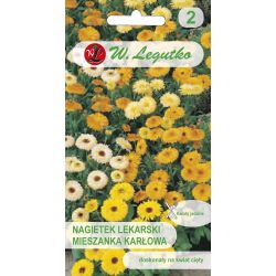 Marigold - zakrslá směs - Semena - W. Legutko