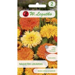 Calendula officinalis - směs - Semena - W. Legutko