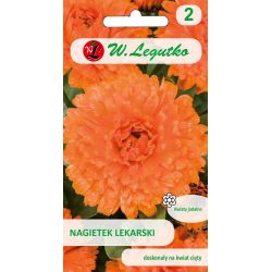 Měsíček - oranžová - Semena - W. Legutko