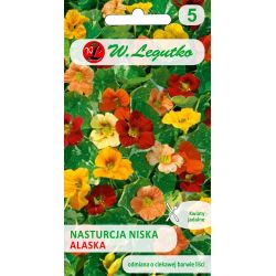 Nízká lichořeřišnice - Aljaška - mix - Semena - W. Legutko