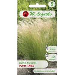 Stipa strong - Pony Tails - zelená - Semena - W. Legutko