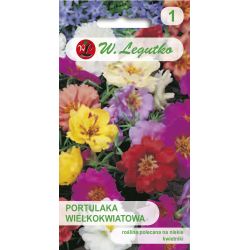 Portulaka velkokvětá - směs - Semena - W. Legutko