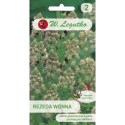 Voňavá rezeda - bílá a zelená - Semena - W. Legutko