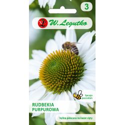 Fialová rudbekie - bílá - Semena - W. Legutko