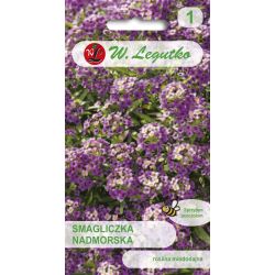 Amarant - přímořské - lila a fialová - Semena - W. Legutko Amarant - přímořské - lila a fialová - Semena - W. Legutko