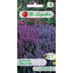 Šalvěj plstnatá - purpurově modrá - Semena - W. Legutko