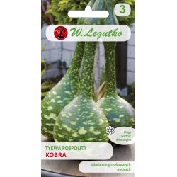 Tykev obecná - Kobra - Semena - W. Legutko