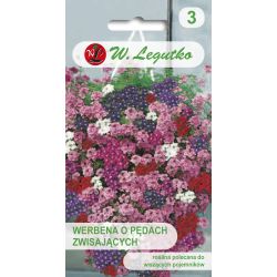 Verbena - s visícími výhonky - směs - Semena - W. Legutko